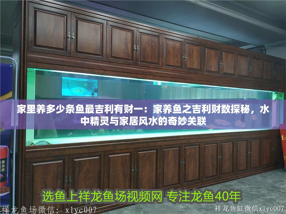 詳細閱讀:家里養多少條魚最吉利有財一:家養魚之吉利財數探秘,水中精靈與家居風水的奇妙關聯 家里養多少條魚最吉利有財一:家養魚之吉利財數探秘,水中精靈與家居風水的奇妙關聯