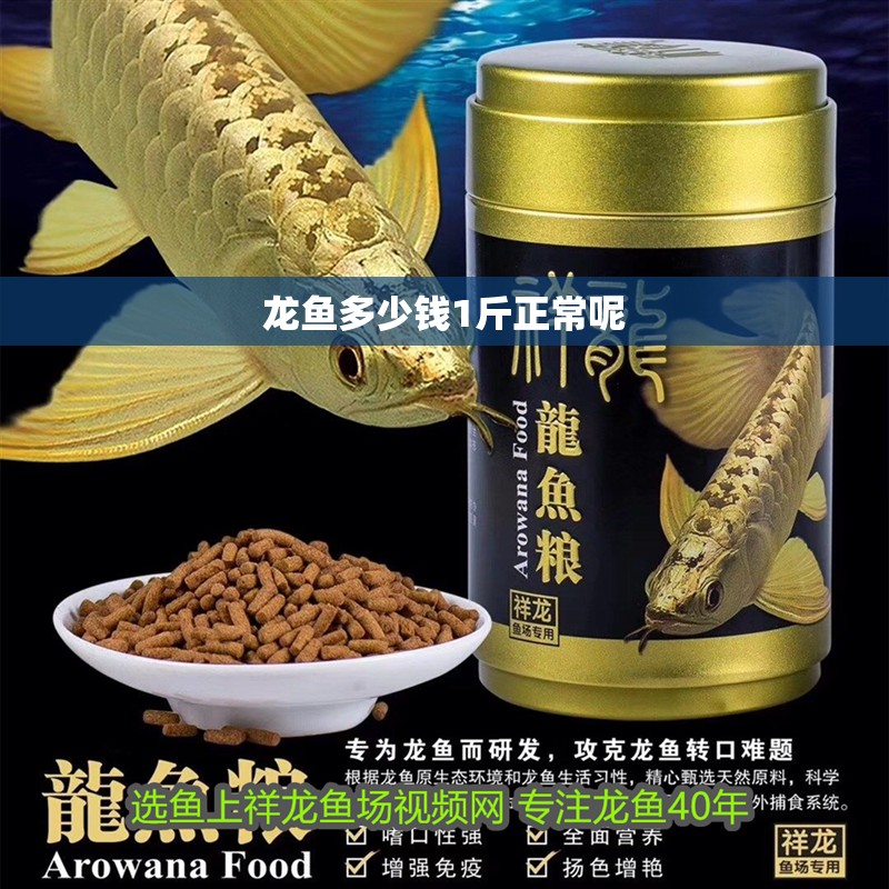 龍魚多少錢1斤正常呢 龍魚百科 龍魚多少錢1斤正常呢 龍魚多少錢1斤正常呢 龍魚百科