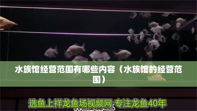 水族館經營范圍有哪些內容（水族館的經營范圍）