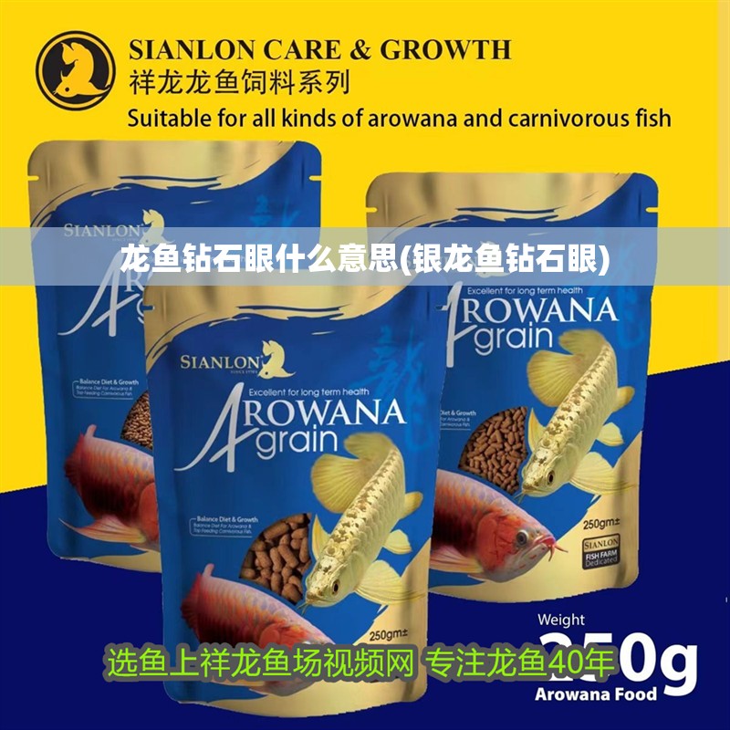龍魚鉆石眼什么意思(銀龍魚鉆石眼)