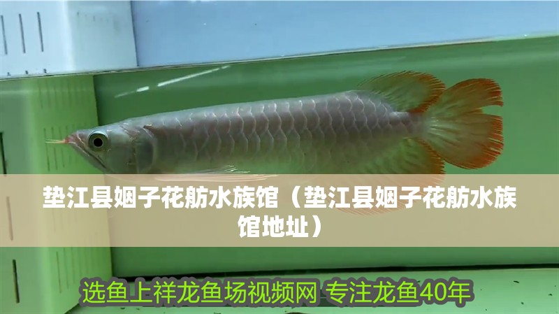 墊江縣姻子花舫水族館（墊江縣姻子花舫水族館地址）