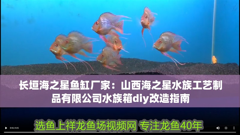長垣海之星魚缸廠家：<strong><mark>山西</mark></strong>海之星水族工藝制品有限公司水族箱diy改造指南