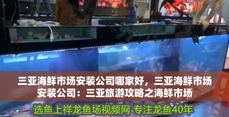 三亞海鮮市場安裝公司哪家好，三亞海鮮市場安裝公司：三亞旅游攻略之海鮮市場 三亞海鮮市場安裝公司哪家好，三亞海鮮市場安裝公司：三亞旅游攻略之海鮮市場 魚缸百科