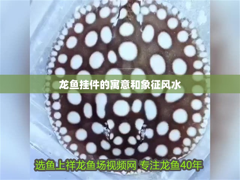 龍魚掛件的寓意和象征風水