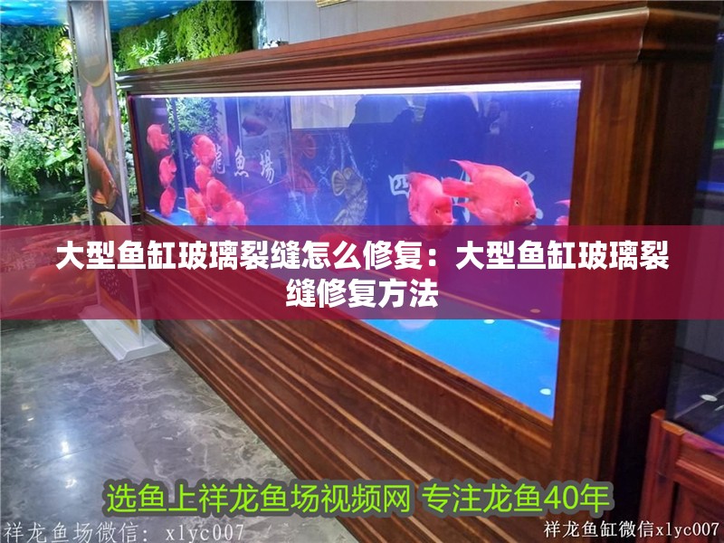 大型魚缸玻璃裂縫怎么修復(fù)：大型魚缸玻璃裂縫修復(fù)方法