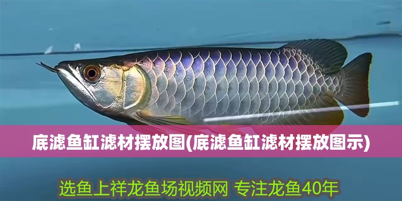底濾魚缸濾材擺放圖(底濾魚缸濾材擺放圖示)