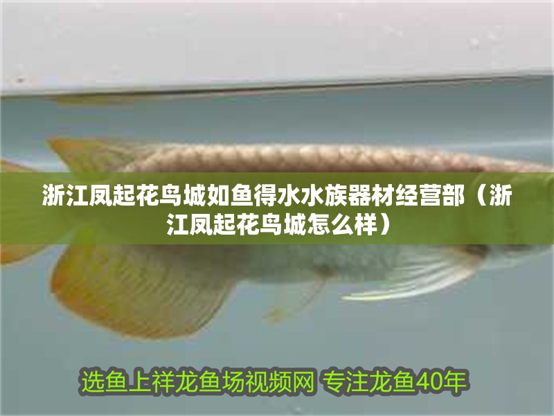 浙江鳳起花鳥(niǎo)城如魚(yú)得水水族器材經(jīng)營(yíng)部（浙江鳳起花鳥(niǎo)城怎么樣） 浙江鳳起花鳥(niǎo)城如魚(yú)得水水族器材經(jīng)營(yíng)部（浙江鳳起花鳥(niǎo)城怎么樣） 全國(guó)水族館企業(yè)名錄 第2張