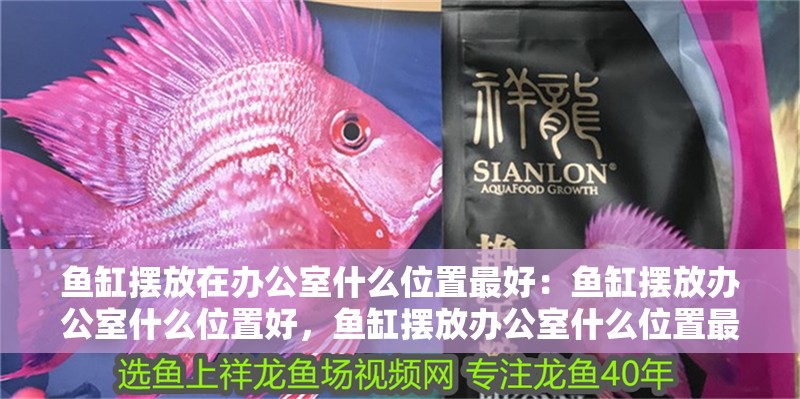 魚缸擺放在辦公室什么位置最好：魚缸擺放辦公室什么位置好，魚缸擺放辦公室什么位置最好