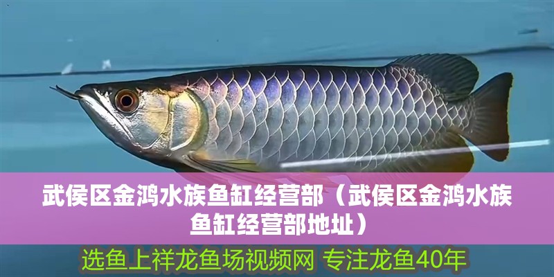 武侯區(qū)金鴻水族魚缸經(jīng)營部（武侯區(qū)金鴻水族魚缸經(jīng)營部地址）
