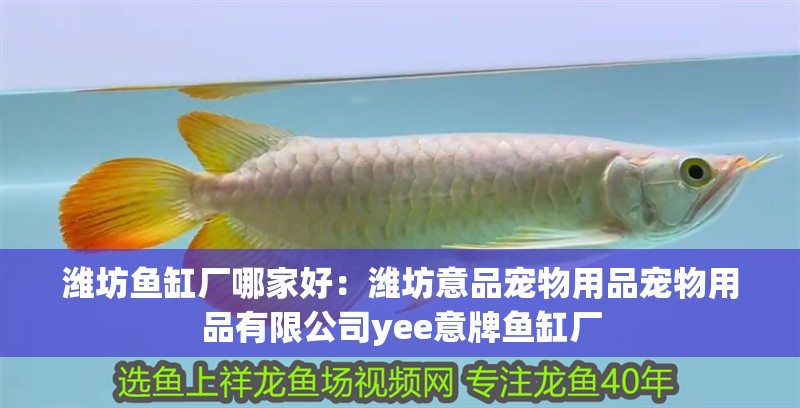 濰坊魚(yú)缸廠哪家好：濰坊意品寵物用品寵物用品有限公司yee意牌魚(yú)缸廠