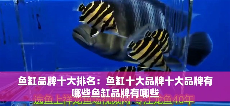 魚缸品牌十大排名：魚缸十大品牌十大品牌有哪些魚缸品牌有哪些