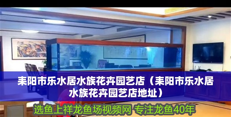 耒陽市樂水居水族花卉園藝店（耒陽市樂水居水族花卉園藝店地址） 耒陽市樂水居水族花卉園藝店（耒陽市樂水居水族花卉園藝店地址） 全國水族館企業名錄 第2張