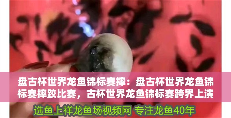 盤古杯世界龍魚錦標賽摔：盤古杯世界龍魚錦標賽摔跤比賽，古杯世界龍魚錦標賽跨界上演精彩