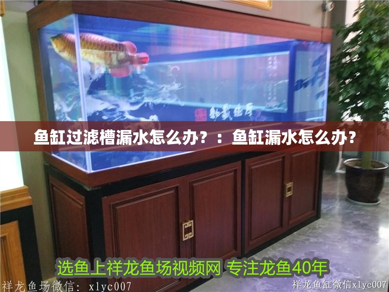 魚缸過濾槽漏水怎么辦？：魚缸漏水怎么辦？ 魚缸過濾槽漏水怎么辦？：魚缸漏水怎么辦？ 魚缸百科
