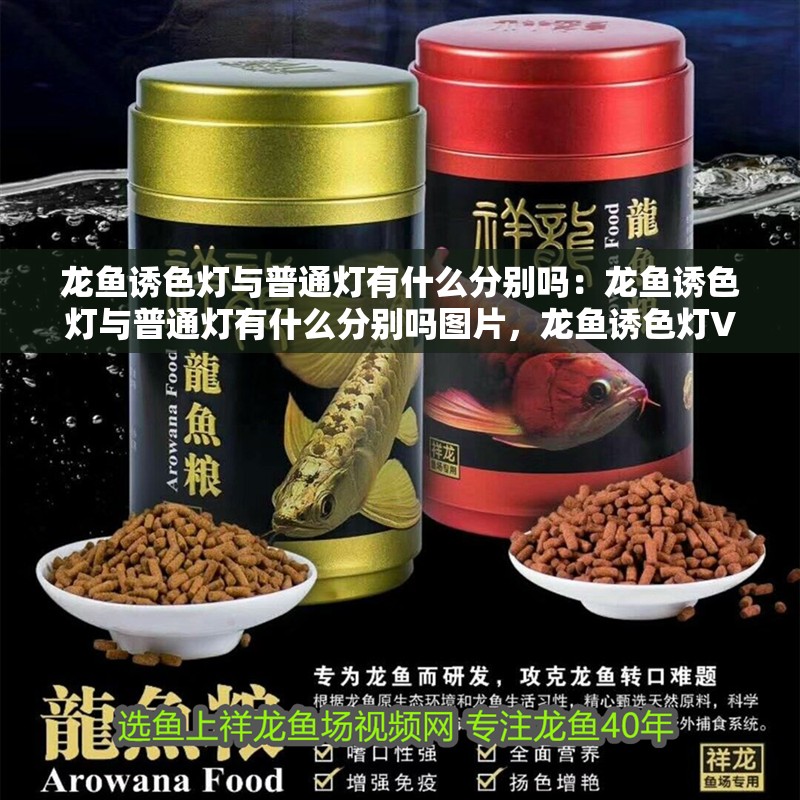 龍魚誘色燈與普通燈有什么分別嗎：龍魚誘色燈與普通燈有什么分別嗎圖片，龍魚誘色燈VS普通燈，差異解析與直觀對比
