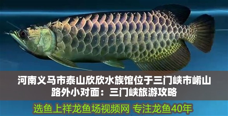 魚缸用增氧泵價格是多少:魚缸增氧機-xtrac增氧機-xtrac增氧機 河南義馬市泰山欣欣水族館位于三門峽市崤山路外小對面:三門峽旅游攻略 魚缸百科 河南義馬市泰山欣欣水族館位于三門峽市崤山路外小對面:三門峽旅游攻略 河南義馬市泰山欣欣水族館位于三門峽市崤山路外小對面:三門峽旅游攻略 魚缸百科