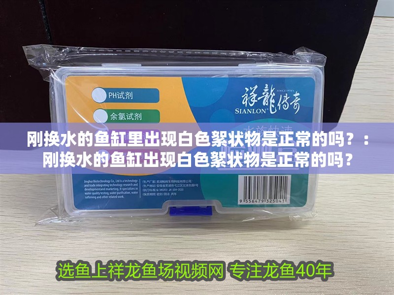 剛換水的魚缸里出現白色絮狀物是正常的嗎？：剛換水的魚缸出現白色絮狀物是正常的嗎？