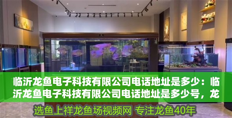 臨沂龍魚電子科技有限公司電話地址是多少：臨沂龍魚電子科技有限公司電話地址是多少號，龍魚電子科技有限公司電話