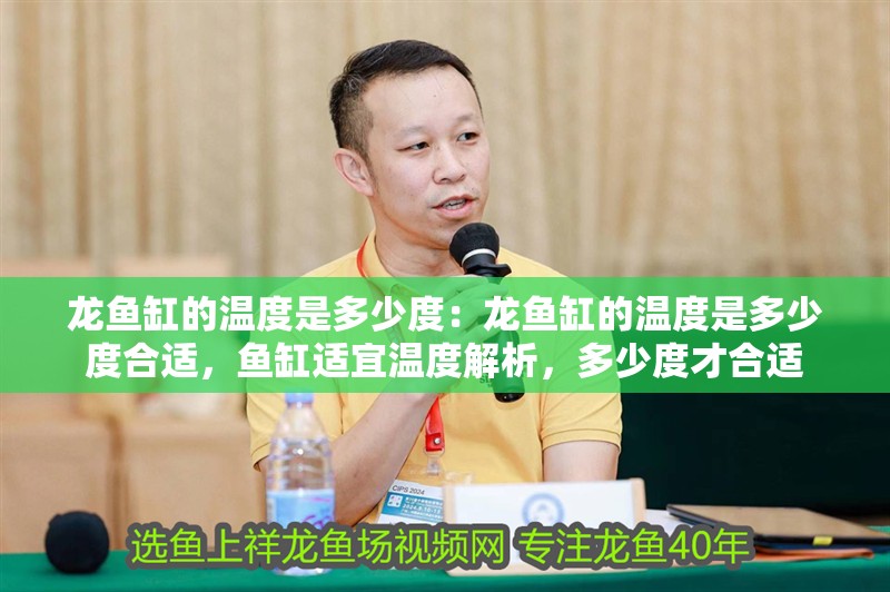 龍魚缸的溫度是多少度：龍魚缸的溫度是多少度合適，魚缸適宜溫度解析，多少度才合適