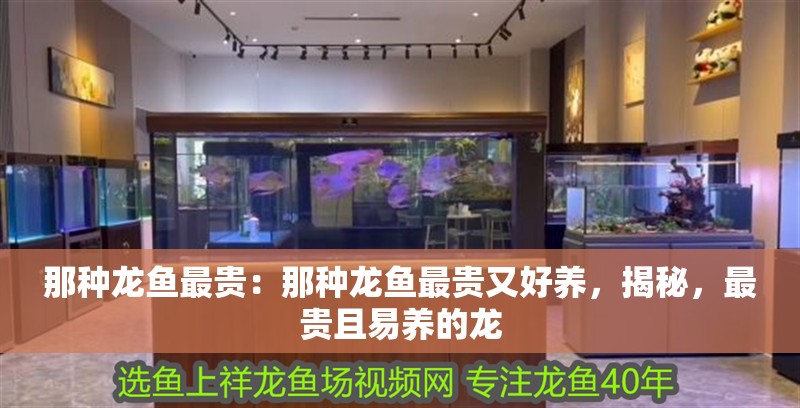 那種龍魚最貴：那種龍魚最貴又好養，揭秘，最貴且易養的龍