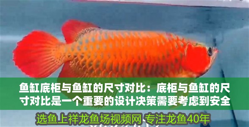 魚缸底柜與魚缸的尺寸對比：底柜與魚缸的尺寸對比是一個重要的設計決策需要考慮到安全性