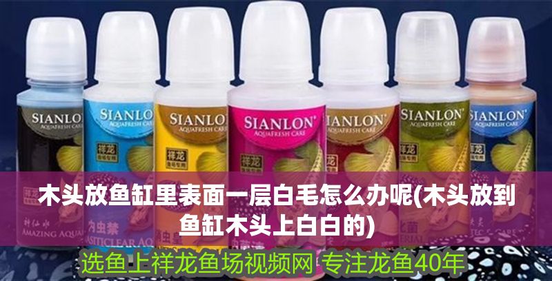 龍虎預(yù)測(cè)方法，古老智慧與現(xiàn)代應(yīng)用的完美結(jié)合，古老智慧與現(xiàn)代科技的融合，揭秘龍虎預(yù)測(cè)的玄機(jī)