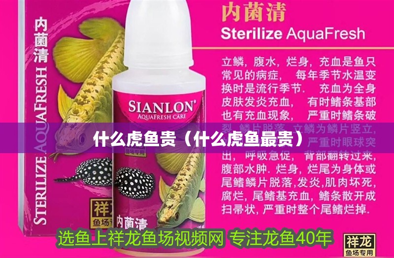 什么虎魚貴（什么虎魚最貴） 什么虎魚貴（什么虎魚最貴） 虎魚百科