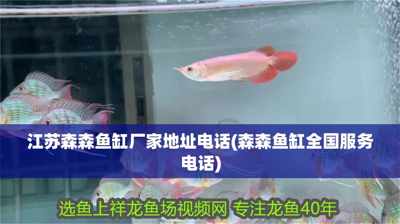 江蘇森森魚缸廠家地址電話(森森魚缸全國服務電話)