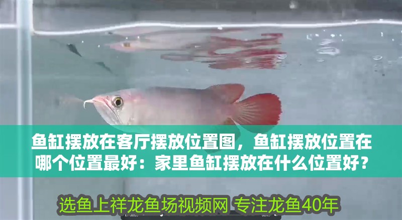 魚缸擺放在客廳擺放位置圖，魚缸擺放位置在哪個位置最好：家里魚缸擺放在什么位置好？