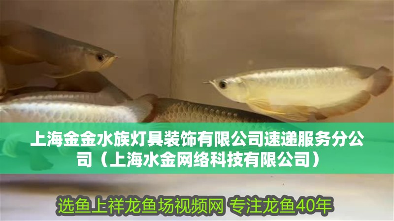 上海金金水族燈具裝飾有限公司速遞服務分公司（上海水金網絡科技有限公司）