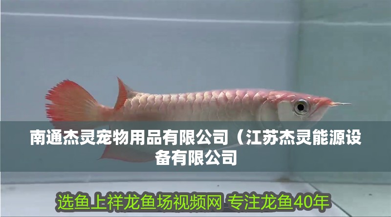 南通杰靈寵物用品有限公司（江蘇杰靈能源設備有限公司