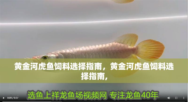 黃金河虎魚飼料選擇指南，黃金河虎魚飼料選擇指南,