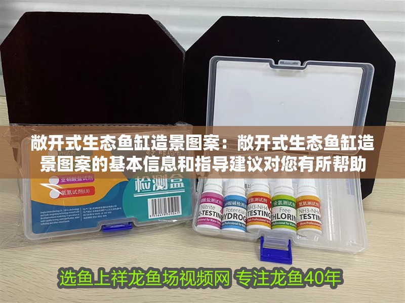 敞開式生態魚缸造景圖案：敞開式生態魚缸造景圖案的基本信息和指導建議對您有所幫助