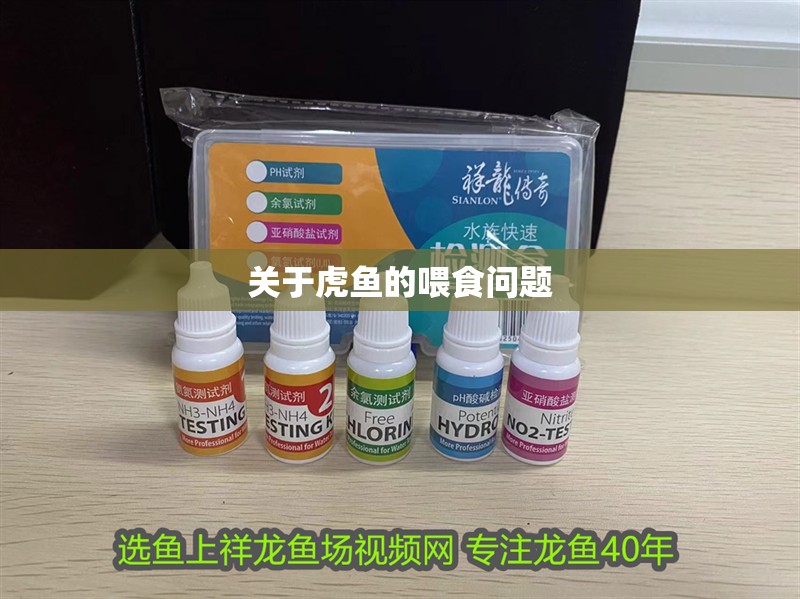 關于虎魚的喂食問題