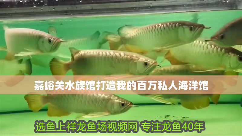 嘉峪關(guān)水族館打造我的百萬私人海洋館