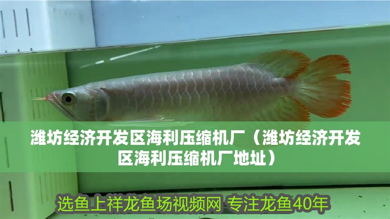 濰坊經濟開發區海利壓縮機廠(濰坊經濟開發區海利壓縮機廠地址) 全國水族館企業名錄 第2張 濰坊經濟開發區海利壓縮機廠(濰坊經濟開發區海利壓縮機廠地址) 濰坊經濟開發區海利壓縮機廠(濰坊經濟開發區海利壓縮機廠地址) 全國水族館企業名錄 第2張