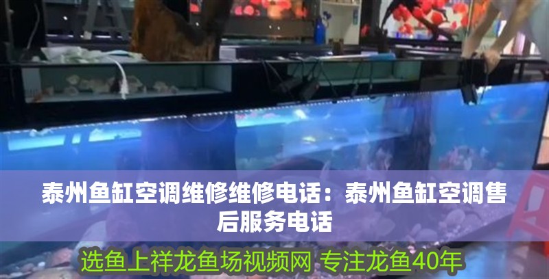 泰州魚缸空調(diào)維修維修電話：泰州魚缸空調(diào)售后服務(wù)電話