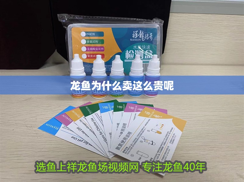 龍魚為什么賣這么貴呢