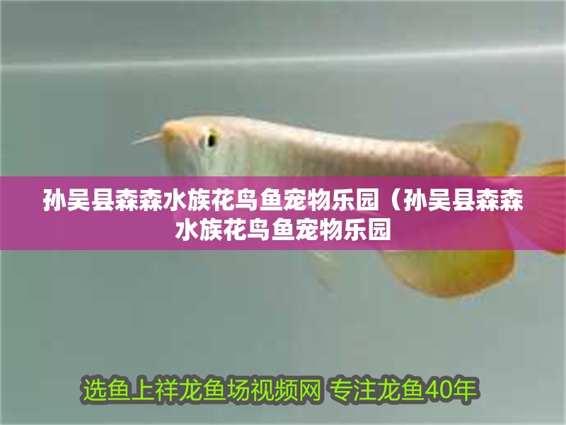 孫吳縣森森水族花鳥(niǎo)魚(yú)寵物樂(lè)園（孫吳縣森森水族花鳥(niǎo)魚(yú)寵物樂(lè)園