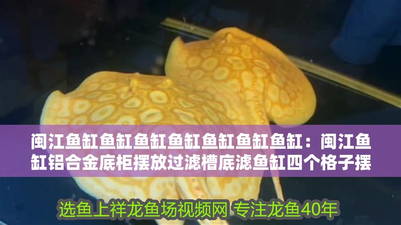 閩江魚缸魚缸魚缸魚缸魚缸魚缸魚缸：閩江魚缸鋁合金底柜擺放過濾槽底濾魚缸四個格子擺放