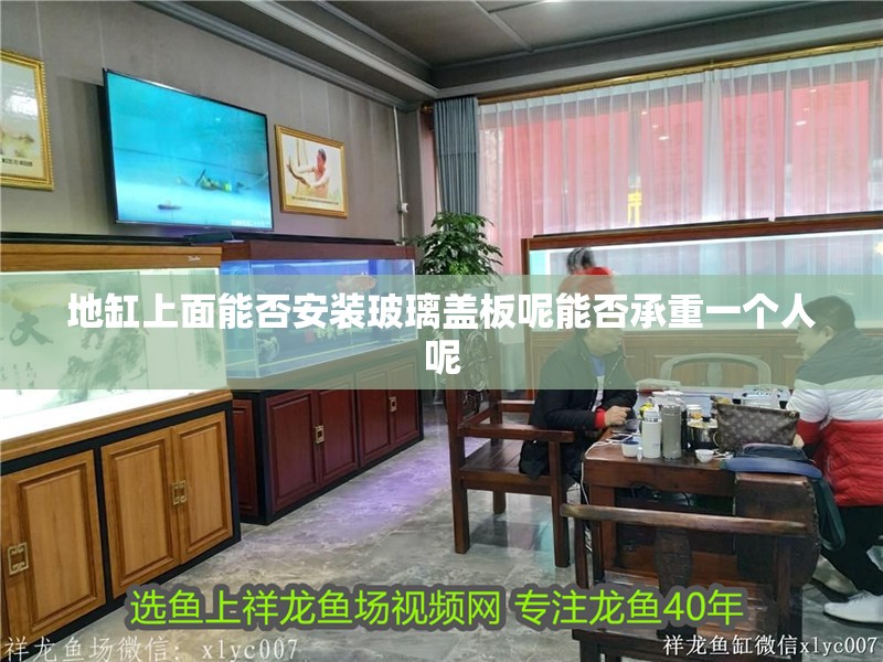 地缸上面能否安裝玻璃蓋板呢能否承重一個人呢 地缸上面能否安裝玻璃蓋板呢能否承重一個人呢 銀龍魚百科