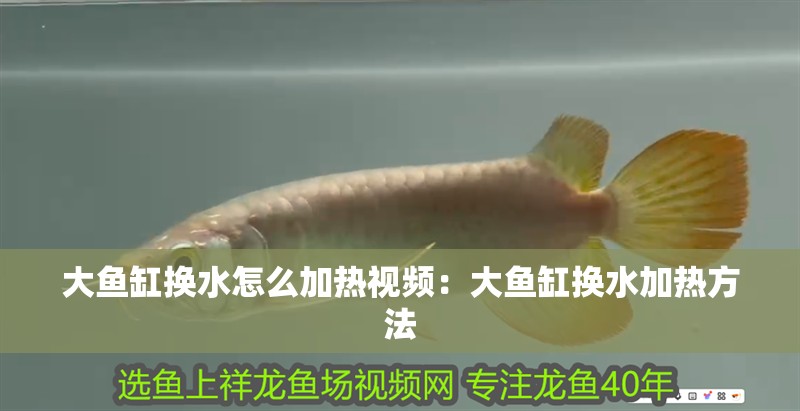 大魚缸換水怎么加熱視頻：大魚缸換水加熱方法
