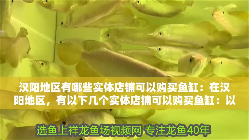 漢陽地區有哪些實體店鋪可以購買魚缸：在漢陽地區，有以下幾個實體店鋪可以購買魚缸：以上店鋪都可以 漢陽地區有哪些實體店鋪可以購買魚缸：在漢陽地區，有以下幾個實體店鋪可以購買魚缸：以上店鋪都可以 魚缸百科
