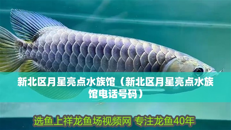 新北區月星亮點水族館（新北區月星亮點水族館電話號碼）