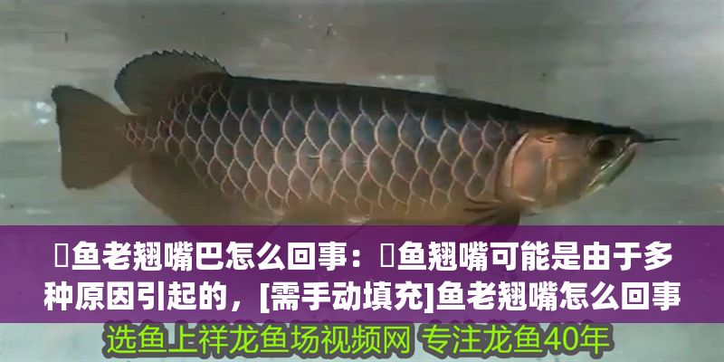 魟魚老翹嘴巴怎么回事：魟魚翹嘴可能是由于多種原因引起的，[需手動填充]魚老翹嘴怎么回事