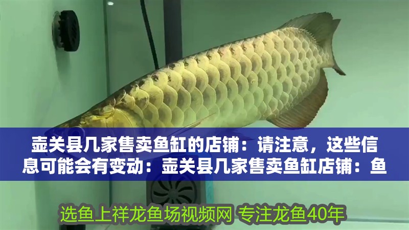 壺關(guān)縣幾家售賣魚缸的店鋪：請注意，這些信息可能會有變動：壺關(guān)縣幾家售賣魚缸店鋪：魚缸養(yǎng)護全攻略魚缸養(yǎng)護全攻略