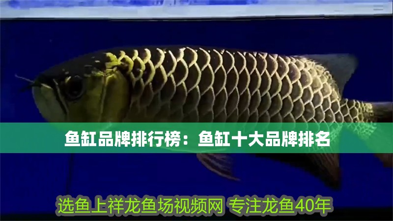 魚缸品牌排行榜：魚缸十大品牌排名