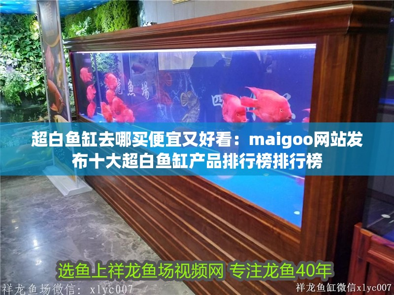 超白魚缸去哪買便宜又好看：maigoo網站發布十大超白魚缸產品排行榜排行榜