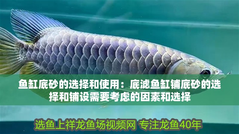 魚缸底砂的選擇和使用：底濾魚缸鋪底砂的選擇和鋪設需要考慮的因素和選擇