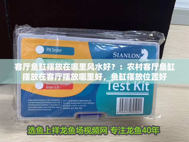 客廳魚缸擺放在哪里風水好？：農村客廳魚缸擺放在客廳擺放哪里好，魚缸擺放位置好